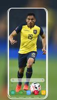 Selección de fútbol de Ecuador स्क्रीनशॉट 1
