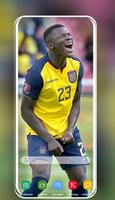 Selección de fútbol de Ecuador स्क्रीनशॉट 2