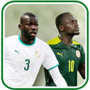 Équipe du Sénégal de football APK