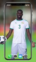 Équipe du Sénégal de football स्क्रीनशॉट 2
