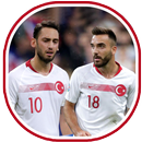 Türkiye futbol takımı APK