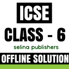 ICSE CLASS 6 SOLUTION أيقونة