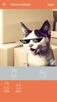 Dancing Pet poster