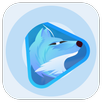 FoxFM Video Player Helper APK