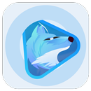 FoxFM Video Player Helper APK