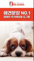도그짱-강아지분양 전국애견분양 직거래 종합포털 Affiche