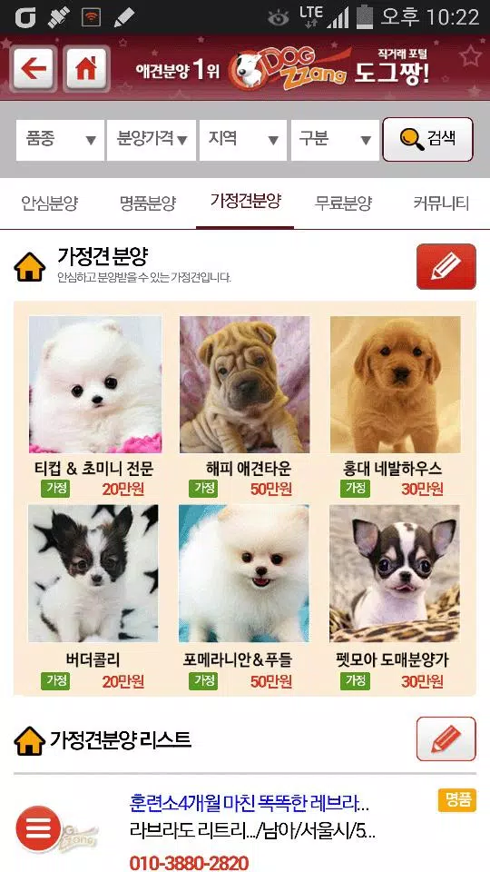 Tải xuống APK 도그짱-강아지분양 전국애견분양 직거래 종합포털 cho Android Tải Xuống Apk 도그짱-강아지분양 전국애견분양 직거래 종합포털 Cho Android