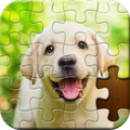 Jigsaw Puzzle