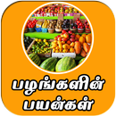 All Fruit Name And Its Benefits In Tamil Daily App APK