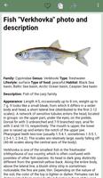 Libro de referencia de pescado Poster