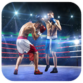 Lições De Boxe