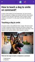dog training poster