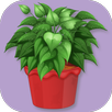 Plant identification APK