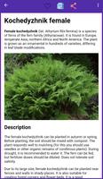 Identificação da planta اسکرین شاٹ 2