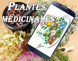 Plantes médicinales Affiche