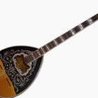 Wallpapers Bouzouki 图标