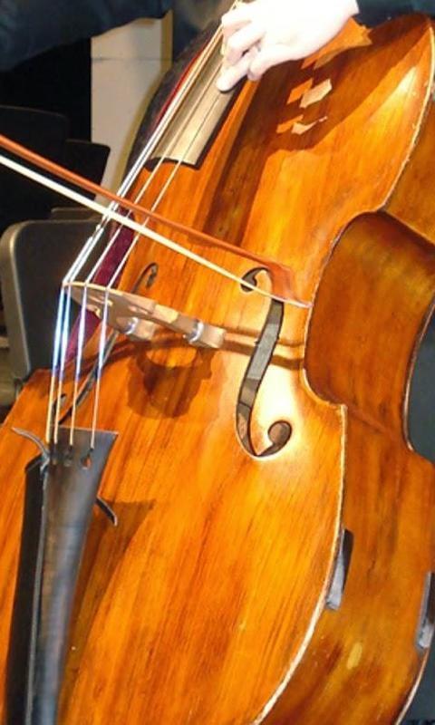 80 Gambar Alat Musik Contrabass Kekinian 80 Gambar Alat Musik Contrabass Kekinian