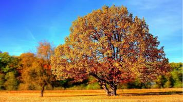Tile Puzzles · Herbst Screenshot 1