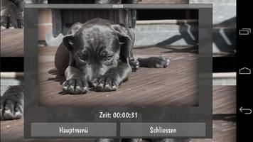 Tile Puzzles · Tierbabies Screenshot 2