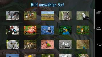 Tile Puzzles · Vögel Plakat
