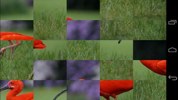 Tile Puzzles · Vögel Screenshot 1