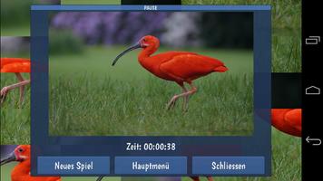 Tile Puzzles · Vögel Screenshot 2