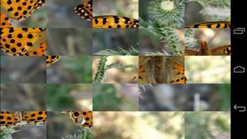 Tile Puzzles · Schmetterlinge Screenshot 1