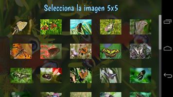 Rompecabezas · Mariposas Poster