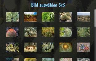 Tile Puzzles · Kaktus Plakat