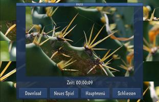 Tile Puzzles · Kaktus Screenshot 2