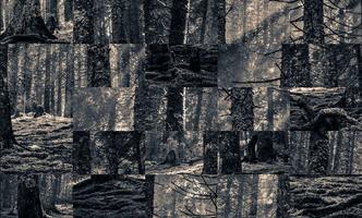 Tile Puzzles · Wälder Screenshot 3