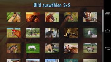 Tile Puzzles · Pferde Plakat
