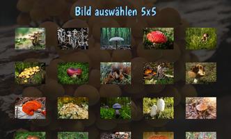 Tile Puzzles · Pilze Plakat