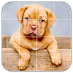Tile Puzzles · Pets
