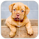 APK Tile Puzzles · Pets