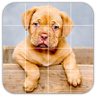 Tile Puzzles · Pets icon