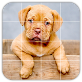 Tile Puzzles · Pets icon