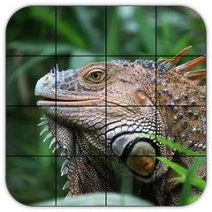 download Tile Puzzles · Reptiles APK