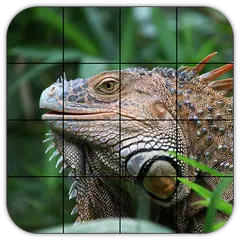 Tile Puzzles · Reptilien