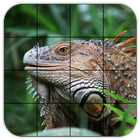 Tile Puzzles · Reptiles ícone