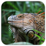 Tile Puzzles · Reptiles icône