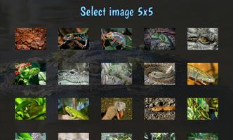 Tile Puzzles · Reptiles poster