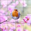 Tile Puzzles · Spring