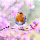 Tile Puzzles · Spring APK