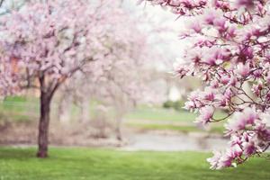 Tile Puzzles · Spring poster