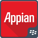 Appian for BlackBerry aplikacja