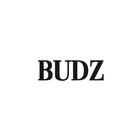 BUDZ 韓国メンズファッション アイコン