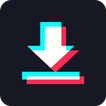 SaveTik icon