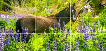 Puzzle - Forest animals