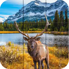 Puzzle - Forest animals APK download